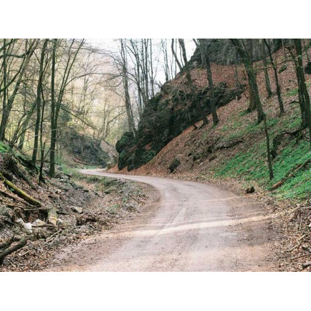 Intelligent Leather Shirt fr-FR